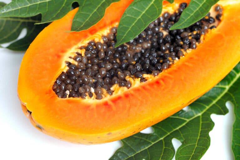13 beneficios de las hojas de papaya
