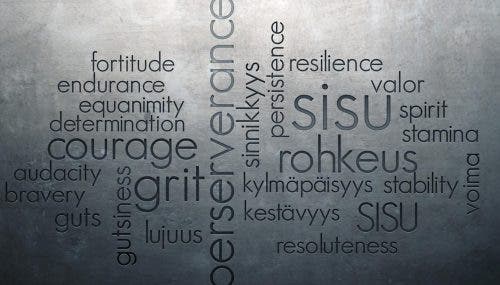sisu