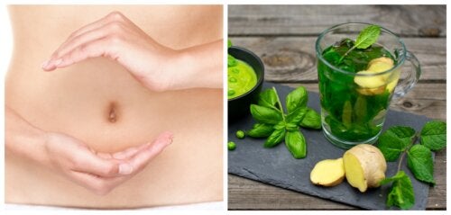 8 beneficios que obtienes por ingerir té de albahaca todos los días