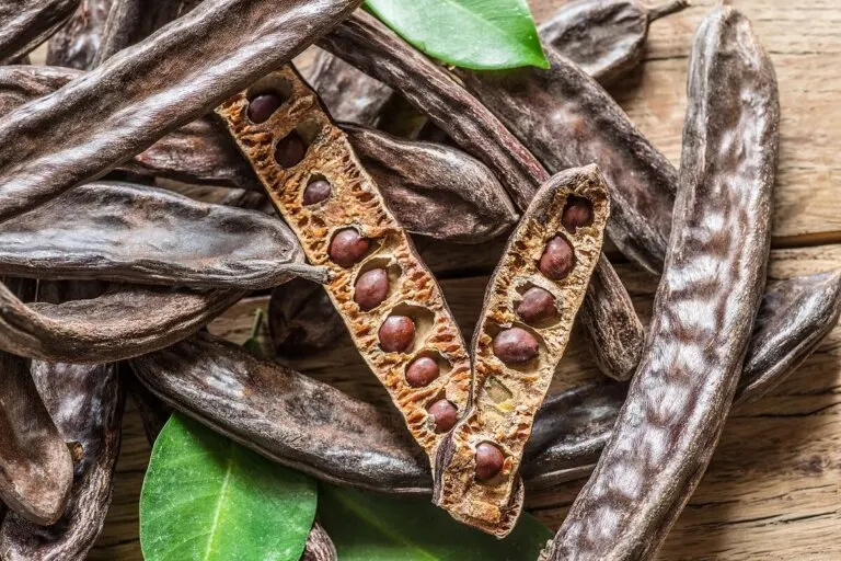 La algarroba: ¿el reemplazo natural del chocolate?