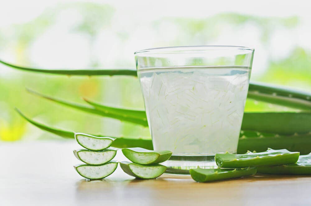 Vaso con aloe vera fresco.
