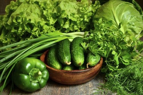 Bowl of fresh organic cucumber with green vegetables and herbs.