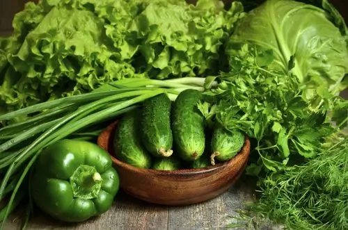 Bowl of fresh organic cucumber with green vegetables and herbs.