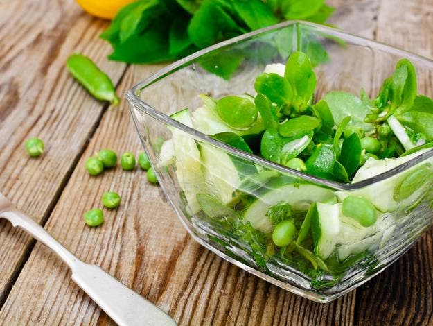 Verdolaga: 10 propiedades de esta planta medicinal