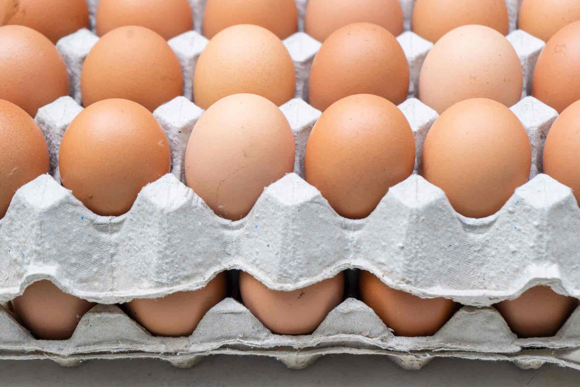 Al dejar de comer carne se pueden comer huevos.
