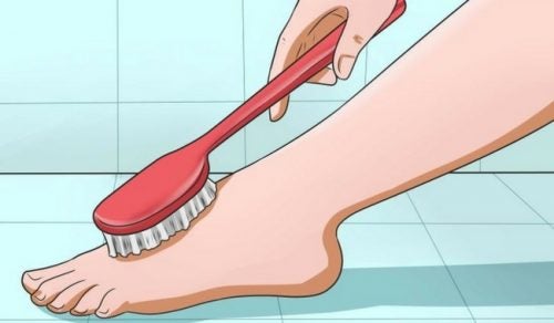 7 beneficios de practicar cada día el cepillado en seco de la piel