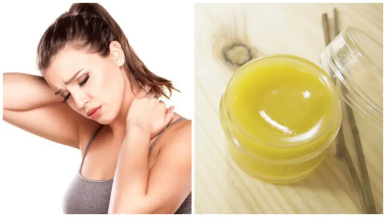 Prepara un ungüento de vaselina y corteza de olmo para el reumatismo