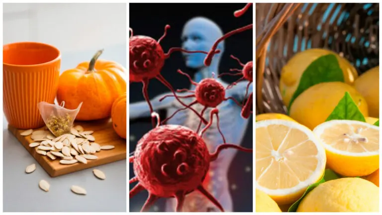 Fortalece tu sistema inmunitario y evita las infecciones consumiendo estos 8 alimentos
