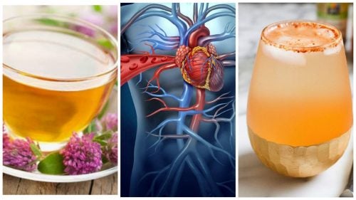 Protege tu corazón con estos 5 tónicos naturales