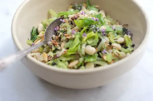 dieta-del-apio