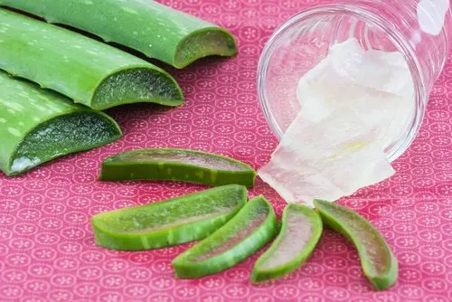 Congelar el gel de aloe vera