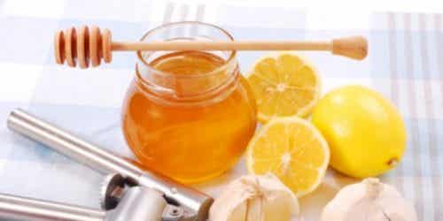 miel ajo y limón contra el colesterol 