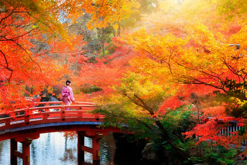 Japanese garden