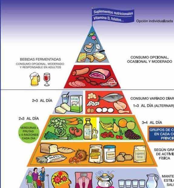 Conoce la nueva pirámide nutricional