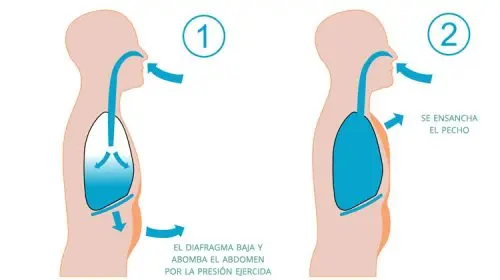respiracion-abdominal
