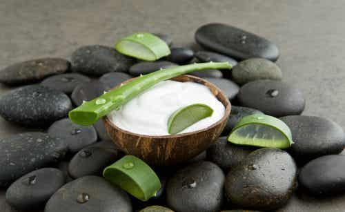 tratamiento de aloe vera y leche de coco
