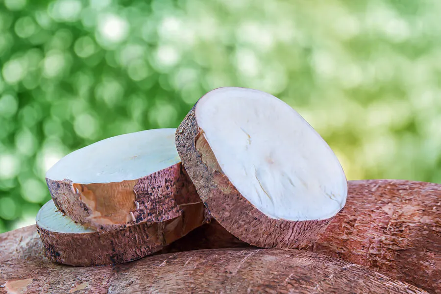 La harina de yuca se puede hacer con pocos ingredientes.