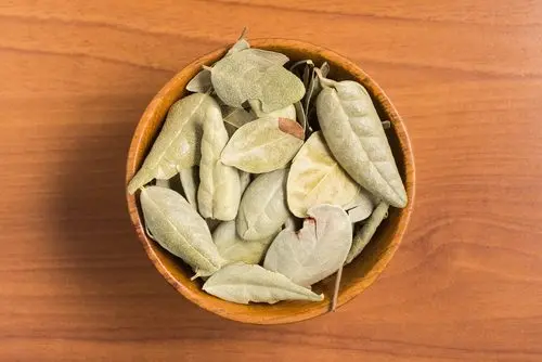 Dieta de boldo