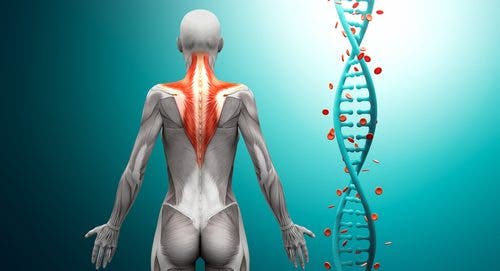 Causas del dolor de trapecios