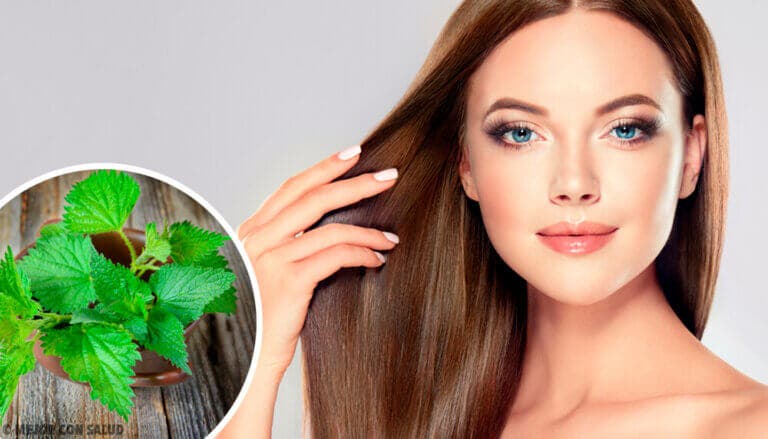¿Qué tan buena es la ortiga para el cabello?