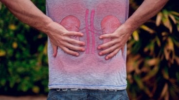 14 remedios caseros para combatir el dolor en los riñones