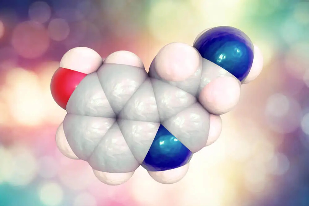 Hormones importantes pour le sommeil.