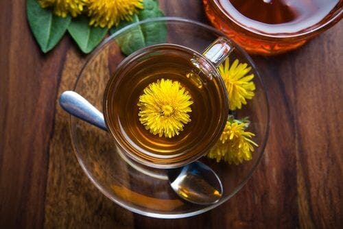 Infusión diente de león