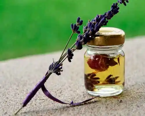 migraña-con-remedios-caseros-lavanda