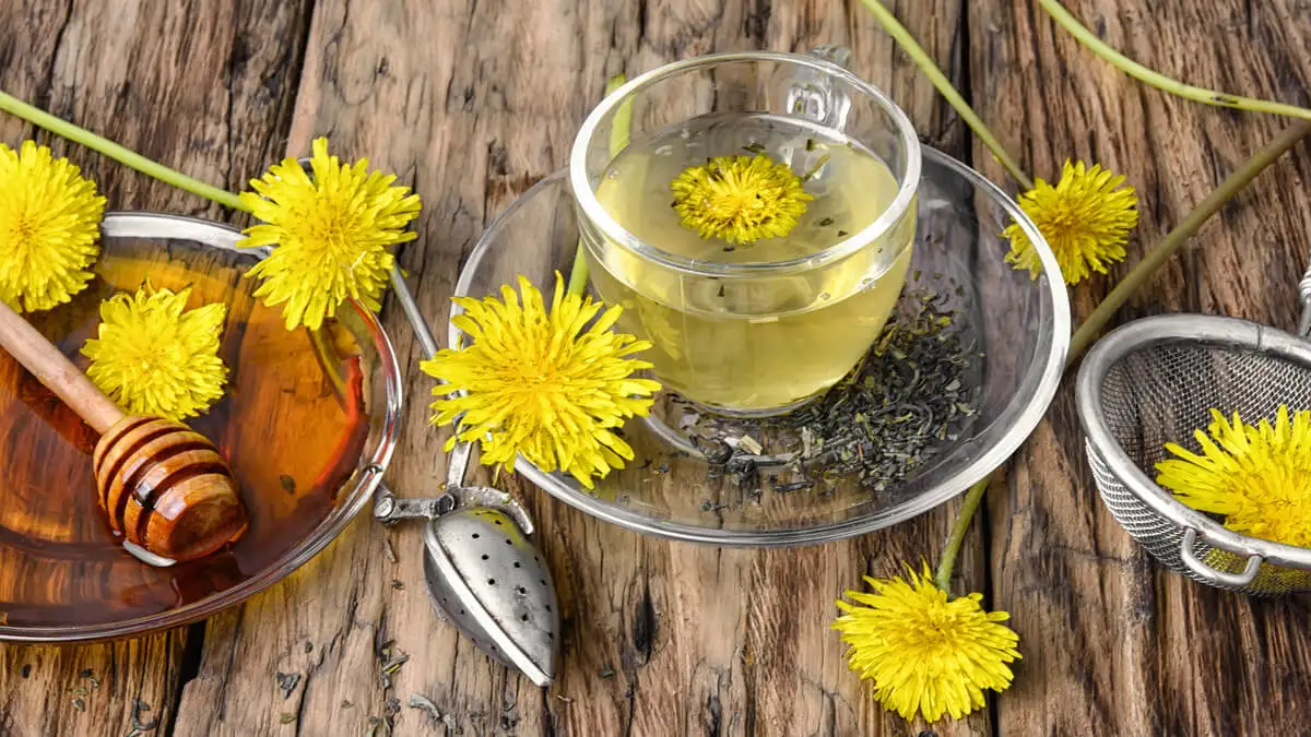 Té de diente de león.