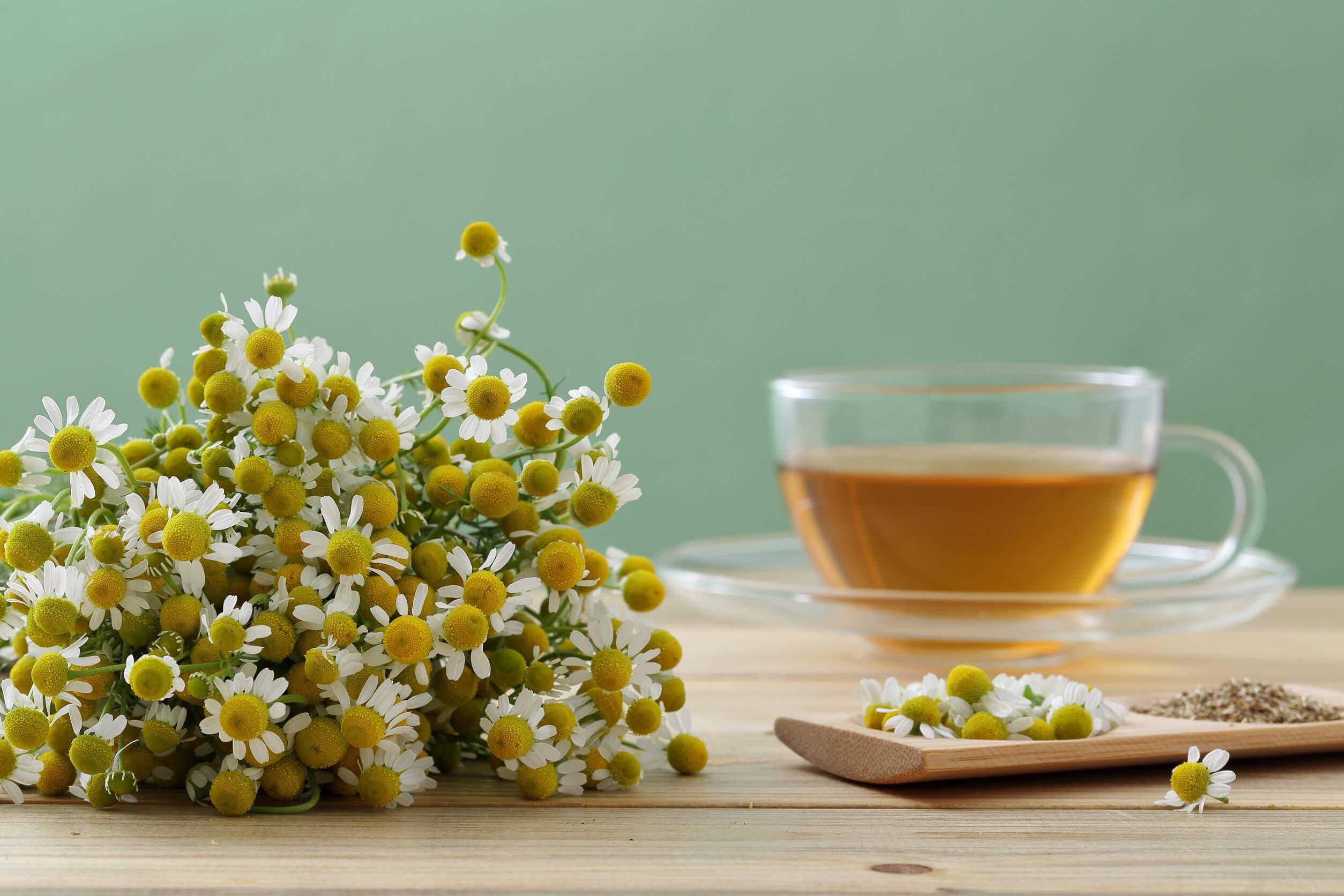 Té de manzanilla