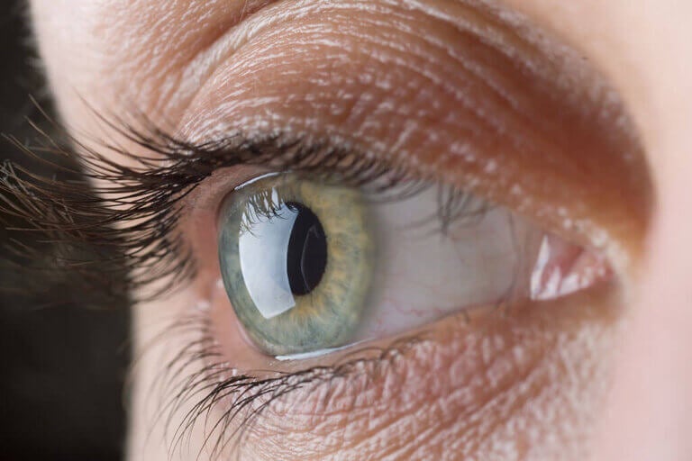 9 tips para mejorar la vista de manera natural y sin cirugía