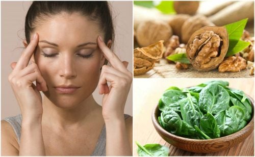 7 alimentos que te ayudan a potenciar las funciones cerebrales