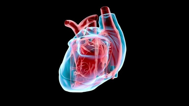 Monitorización no invasiva del gasto cardíaco