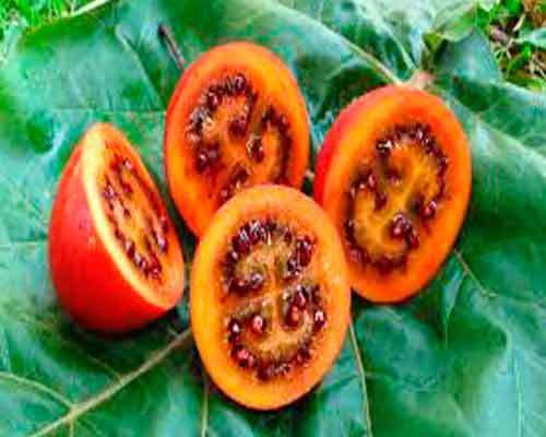 4 extrañas frutas y verduras que seguro que no conoces