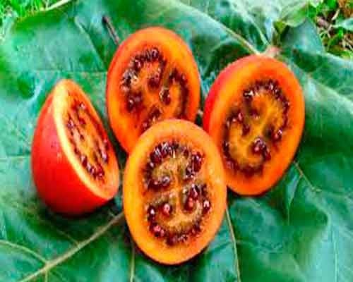 4 extrañas frutas y verduras que seguro que no conoces