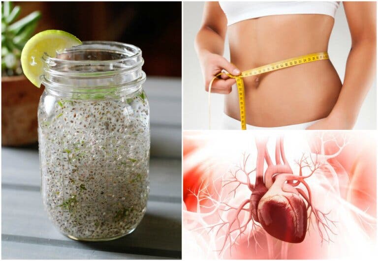Esto es lo que ocurre en tu cuerpo cuando combinas chía con jugo de limón