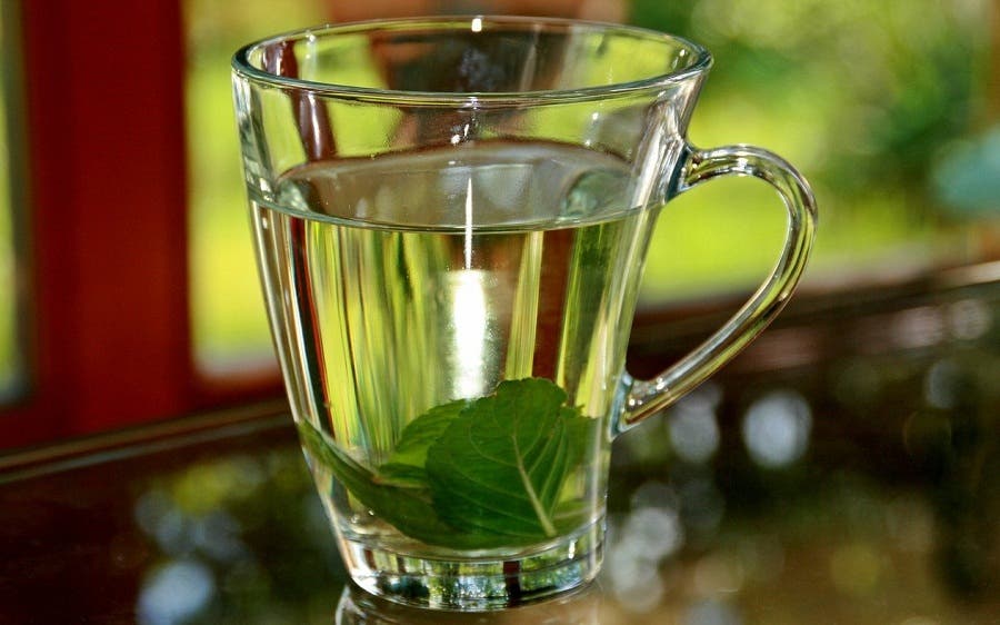 Infusión de albahaca.