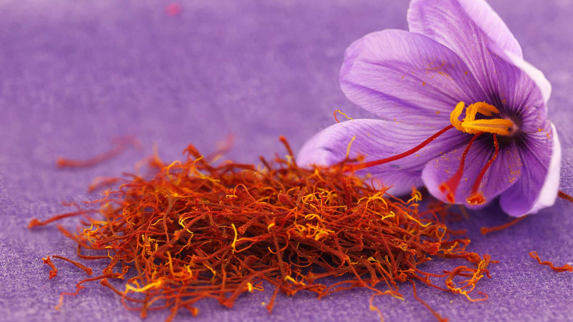 庭をエレガントに見せる紫の花11選