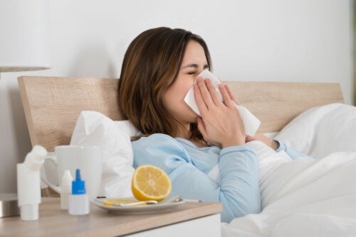 Medicina natural para prevenir la gripe