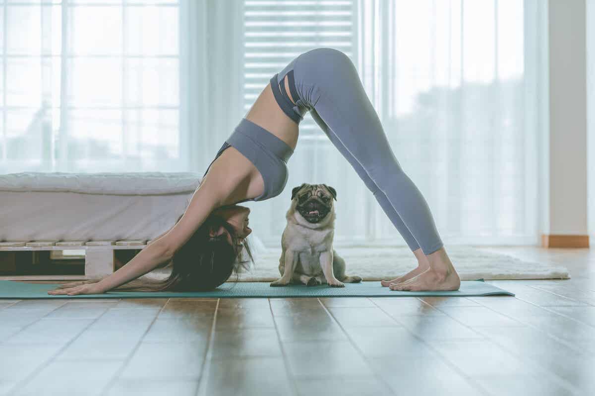 Yoga-Posen für eine flexiblere Hüfte - herabschauender Hund