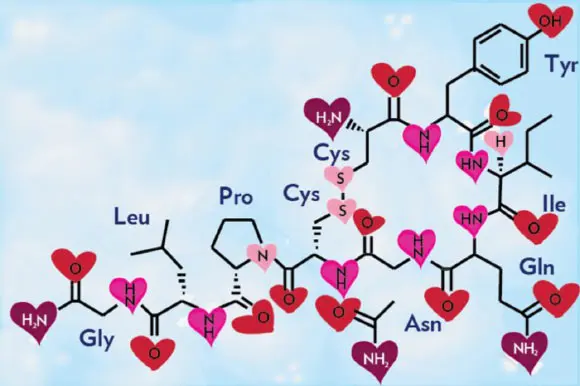 oxytocina-1
