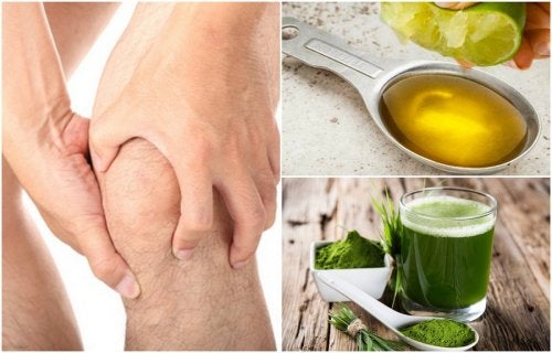 6 formas de reducir los niveles de ácido úrico con ingredientes naturales