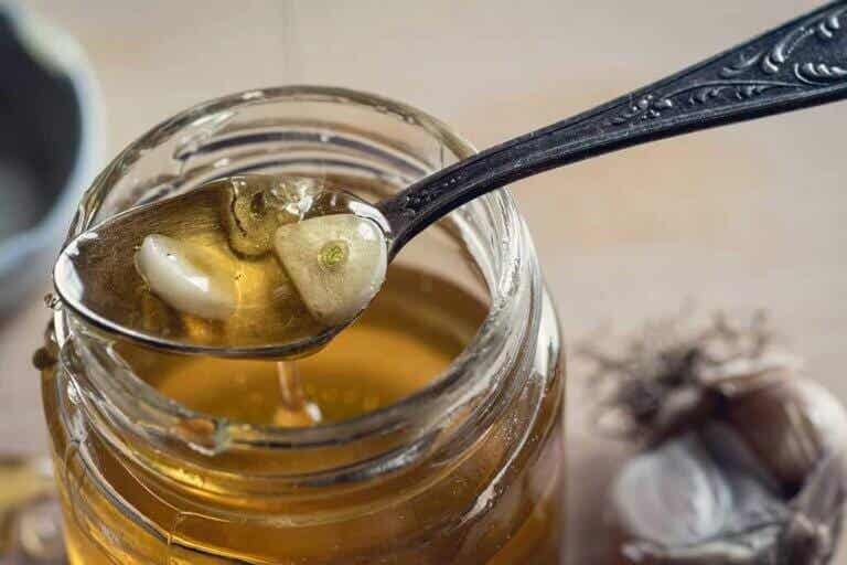Remedio natural de ajo y miel con innumerables beneficios para la salud