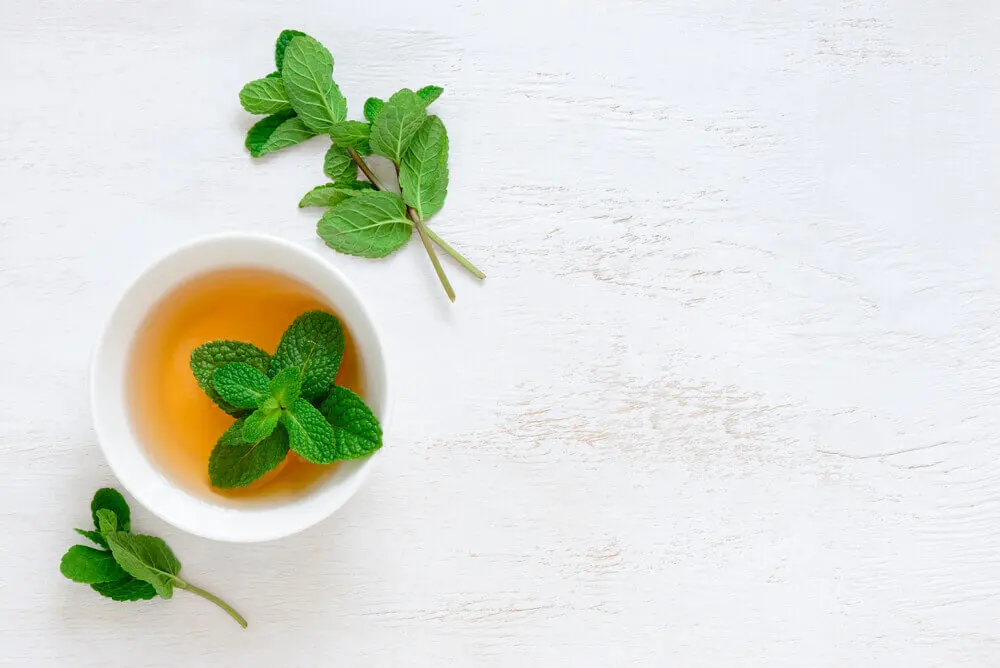 Té de hierbabuena.