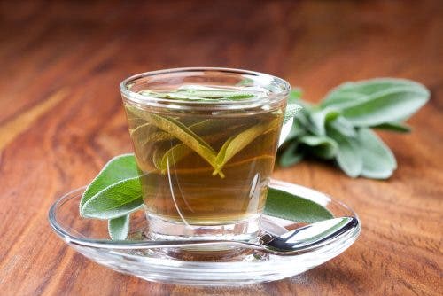 Cómo preparar té de salvia.