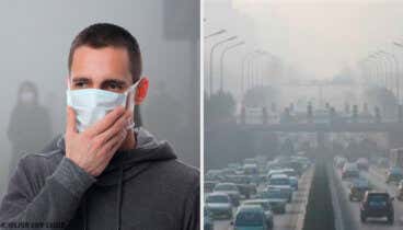 Así es como la contaminación ambiental afecta tus órganos