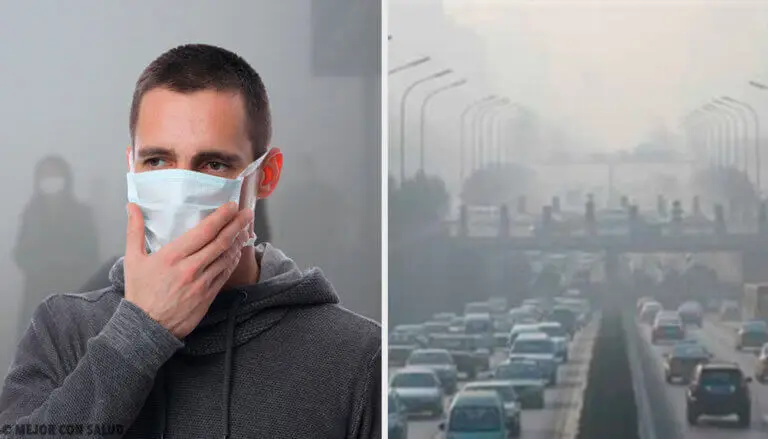 Así es como la contaminación ambiental afecta tus órganos