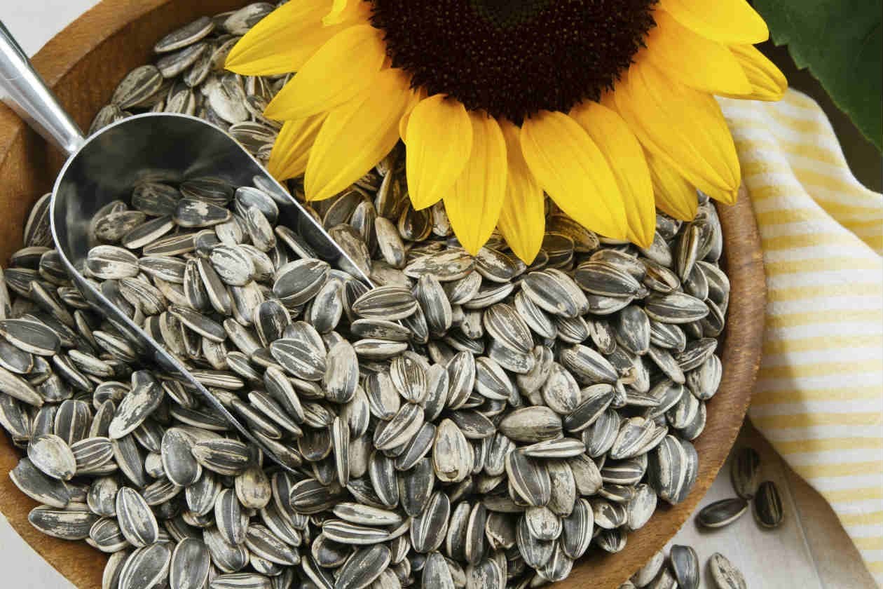 Semillas de girasol, alimentos ricos en biotina