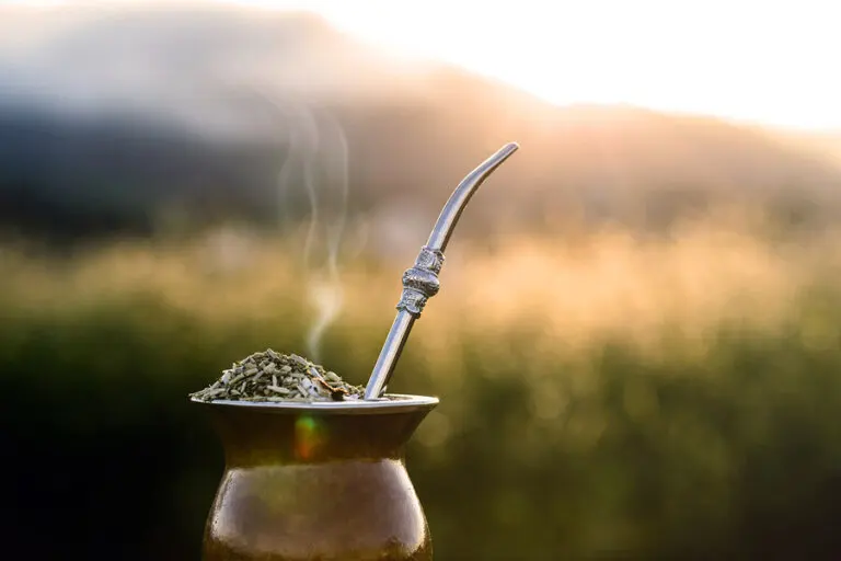 La yerba mate sirve para bajar de peso