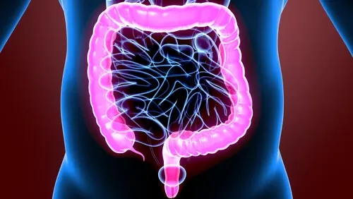 Fisiología del intestino grueso